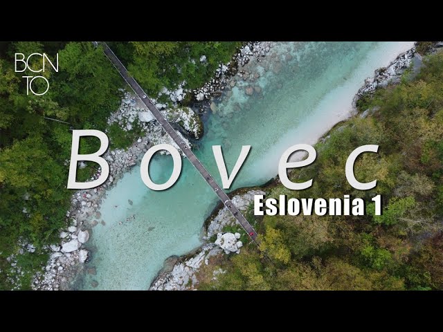 Vice Cónsul de Eslovenia en Barcelona: Información Consular Actualizada
